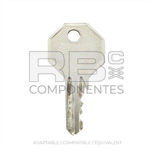 CLÉ DU TYPE RONIS 455.