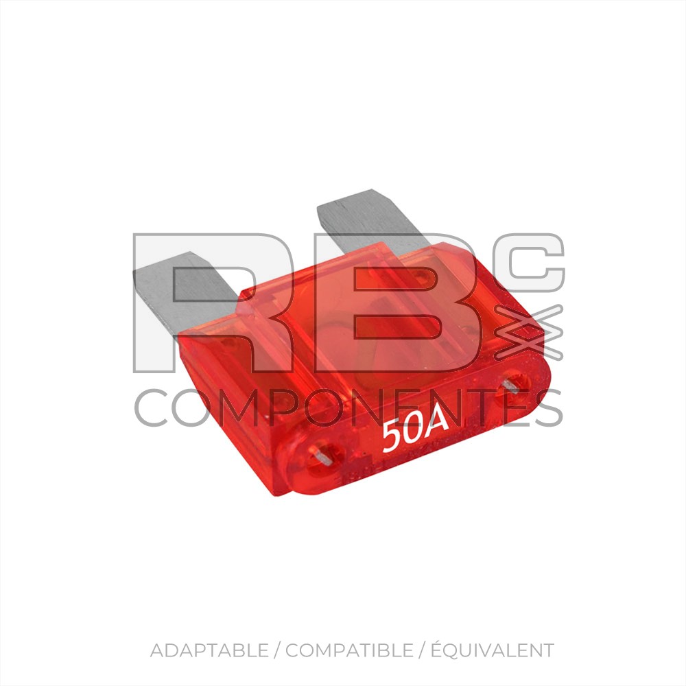 FUSIBLE DE FICHE 10 A.