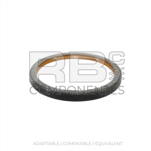 RETEN TRASERO ADAPTABLE DTZ BF4M